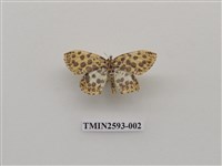 藏品(尺蛾106)的圖片